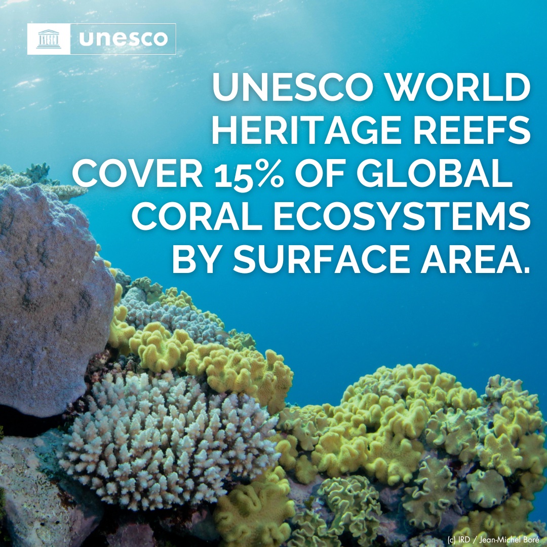 The @UNESCO World Heritage List covers 15% of the world's coral reefs by surface area, providing livelihoods for over 100 indigenous communities & generating at least USD5 billion to the GDP of the countries where they're located. Strengthen their resilience is key. @IocUnesco