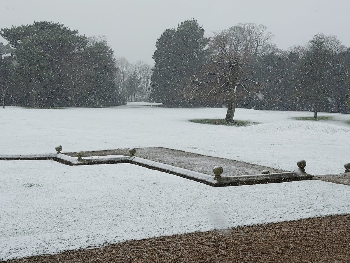 QM Geography tweet media