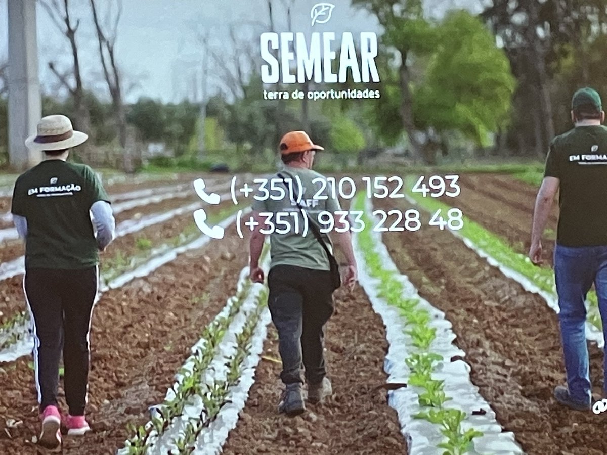 DuarteMarques's tweet photo. Projecto brutal com jovens com necessidades especiais. Restaurante Único no CCB. O objectivo já era meritório mas ainda por cima come-se mesmo muito bem! #semear https://t.co/DdPQv9JMik