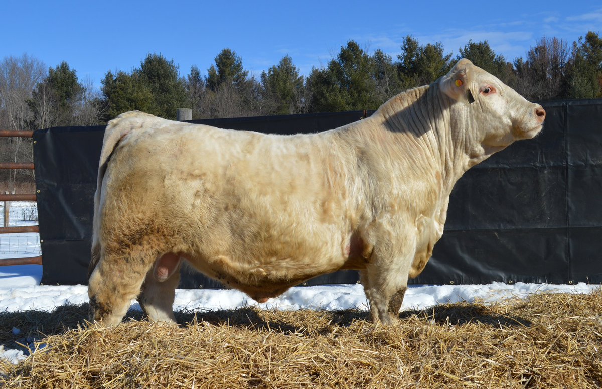 AshBakes tweet media