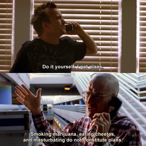 Jesse “You wanna go shopping, do it yourself, I got plans” 

Walt “Smoking marijuana, eating Cheetos and masturbating do not constitute plans in my book” 

#breakingbad