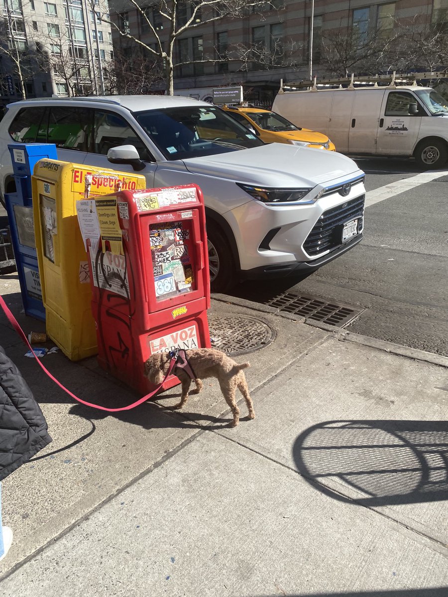 Yes, puppy, many years ago they used to dispense newspapers