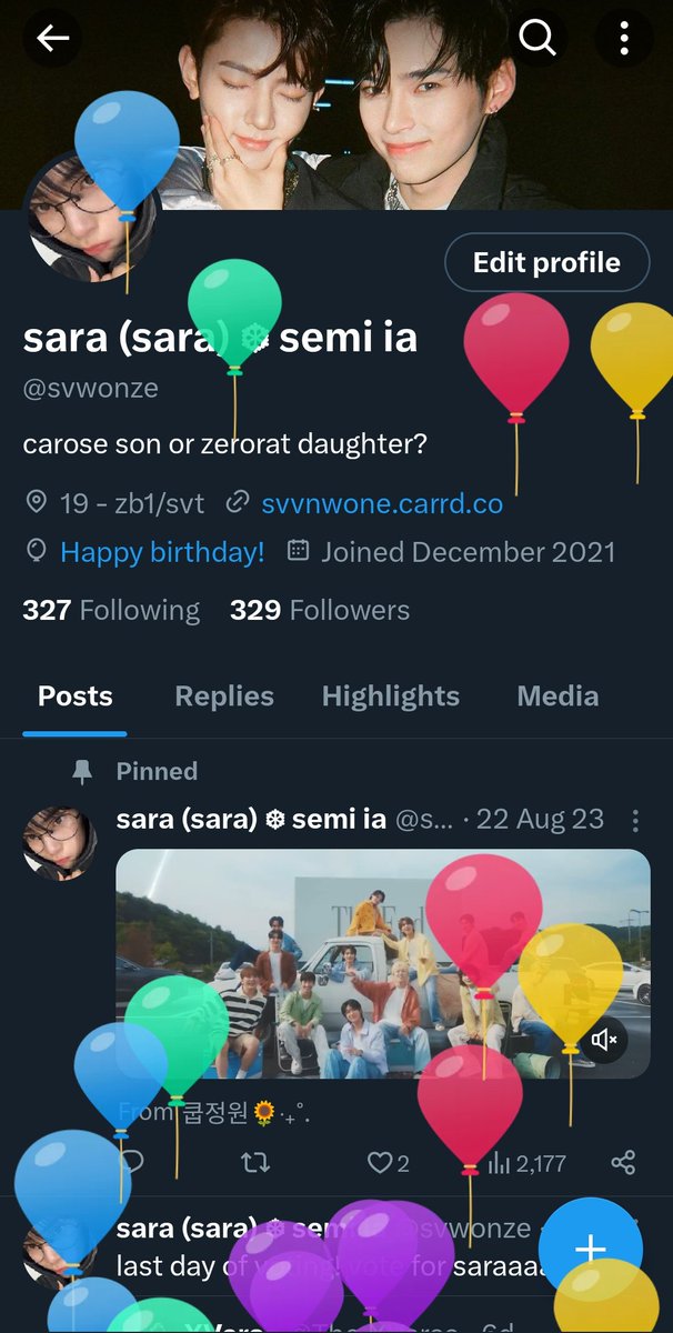 svwonze's tweet photo. quite inactive here but YIPPEEE BALLOONS‼️‼️ https://t.co/bMBeV8UnH1