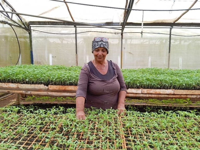 escambraycu's tweet photo. Detrás de la productividad de las Casas de Cultivos Protegidos de la Empresa Agroindustrial de Granos Valle del Caonao, de Yaguajay, están las manos femeninas que han dedicado gran parte de su vida a la agricultura
https://t.co/oEV2zzhccX #GenteQueSuma #SanctiSpíritusEnMarcha https://t.co/PnOjGDuJns