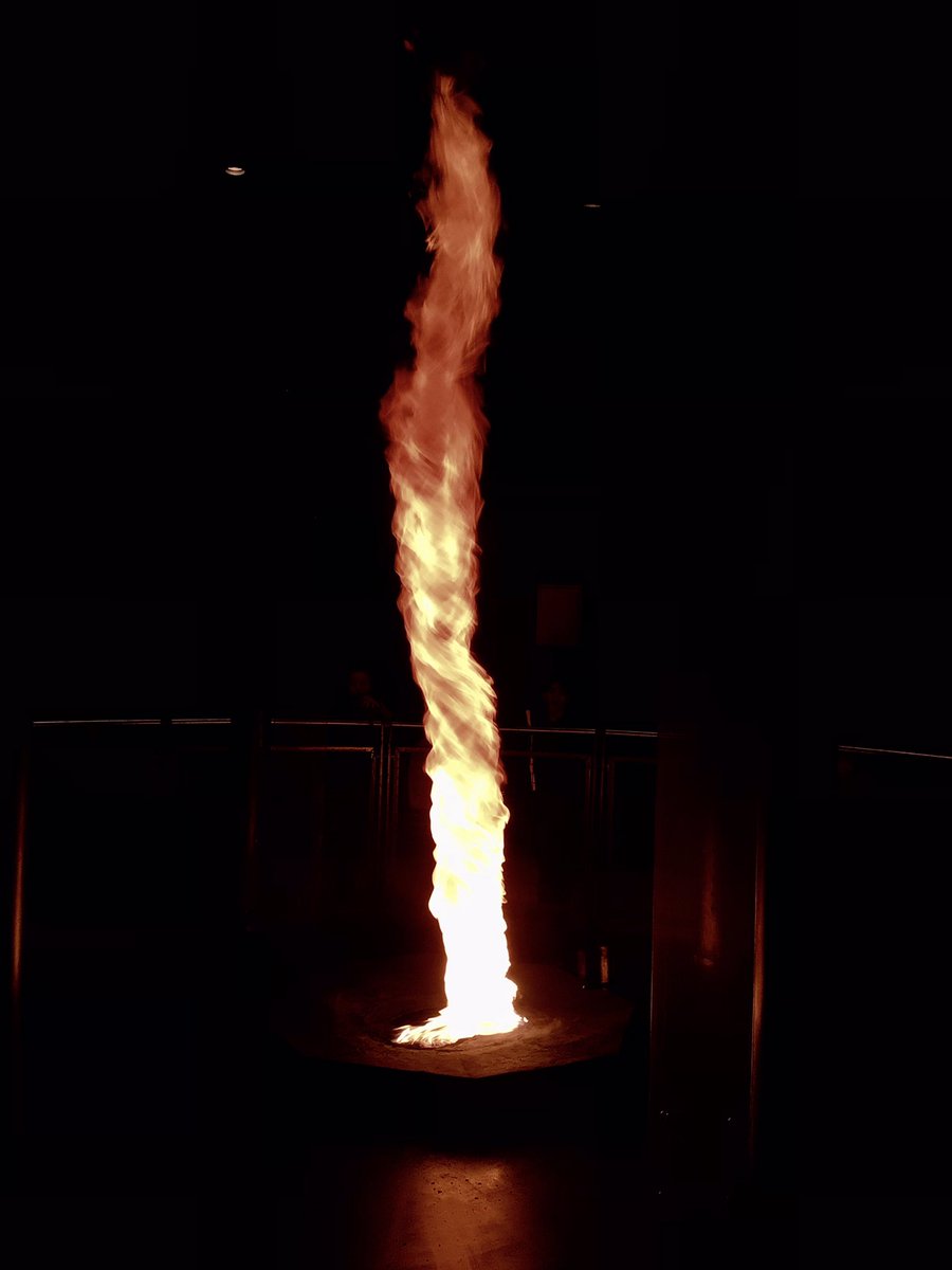 BramblesHolly tweet media