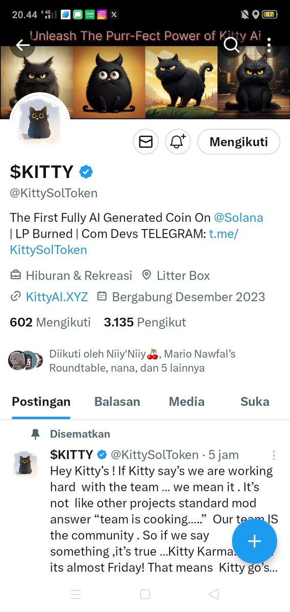 Anjani iputiput tweet media