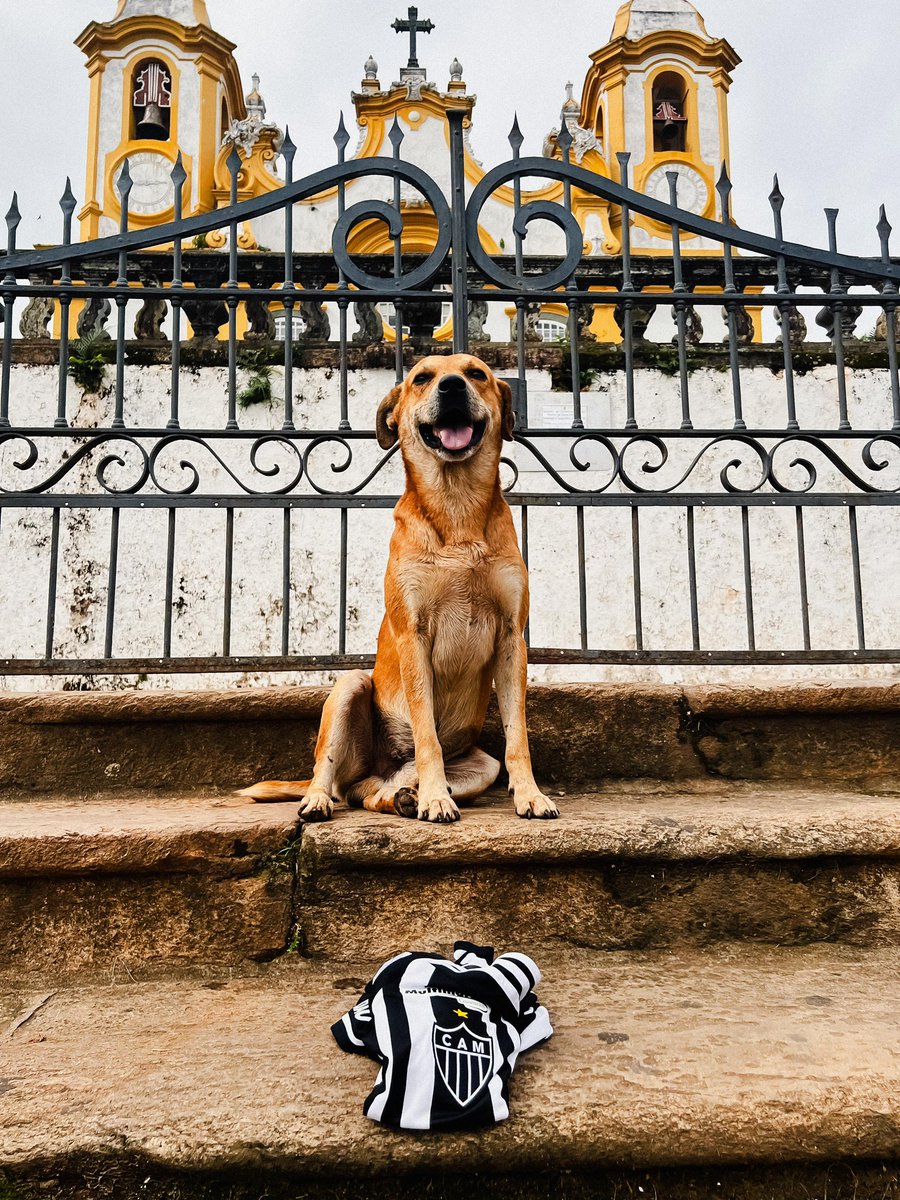 Atletico's tweet photo. O Galo, a cidade de Tiradentes e o cachorro caramelo: três dos patrimônios mais marcantes de Minas Gerais! 🔺🐕🐔 https://t.co/ZUhXCPaYGf