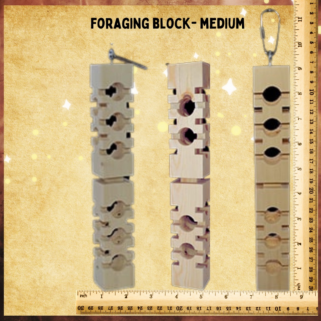 RhondasAviary's tweet image. Some new toy bases for creating your own toys in our Toy Making Department. #birdforaging #birdtoys #parrots #parrotsoftiktok #rhondasaviary #parrotsofinstagram