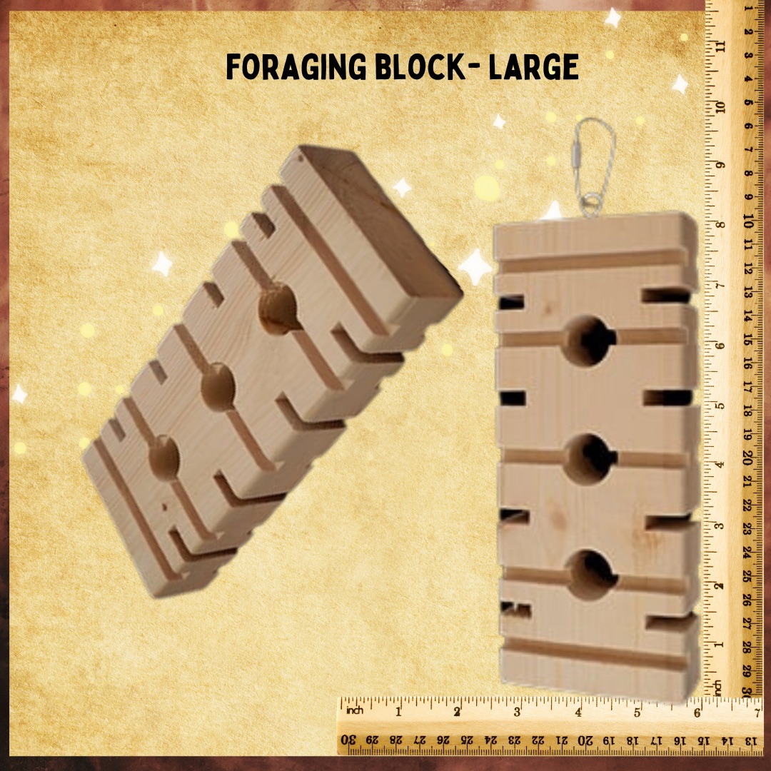 RhondasAviary's tweet image. Some new toy bases for creating your own toys in our Toy Making Department. #birdforaging #birdtoys #parrots #parrotsoftiktok #rhondasaviary #parrotsofinstagram