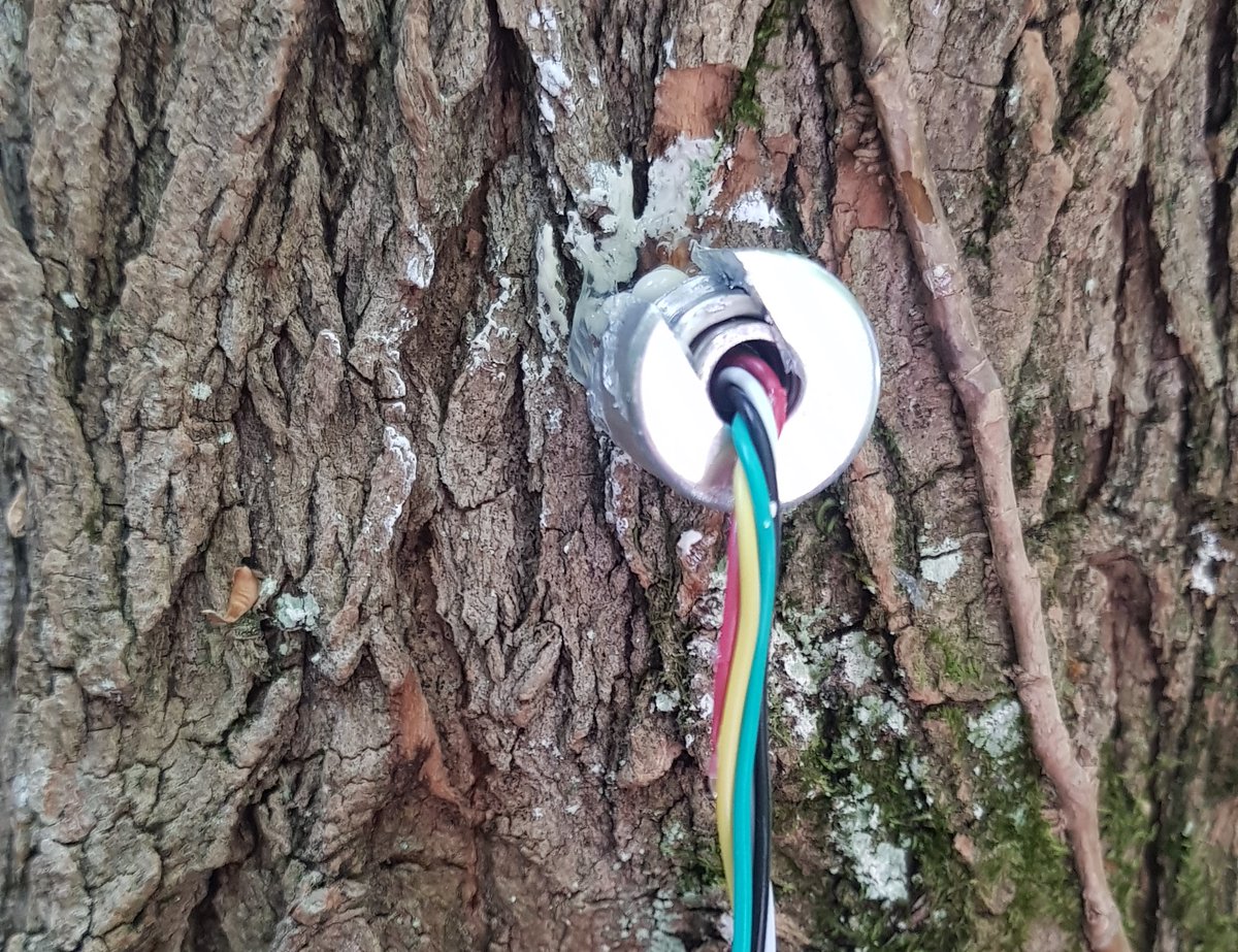 Une forêt connectée révèle l'effet du climat ouest-france.fr/environnement/… Mon article <a href="/OuestFrance/">Ouest-France</a> Avec les explications de @SDelzon <a href="/INRAE_France/">INRAE</a>