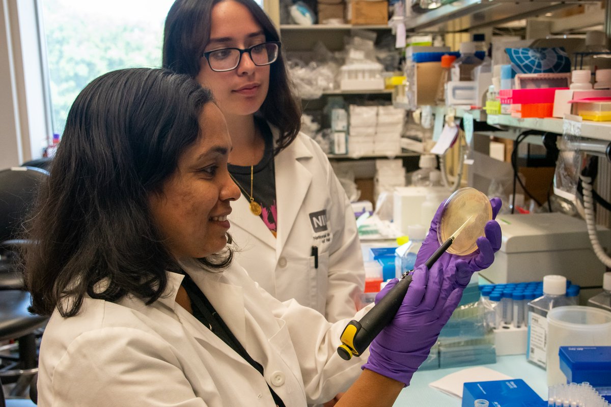 Just 1 week left to apply to the #NIH Summer Internship Program! Students interested in immunologic, allergic, and #InfectiousDiseases should apply by Feb. 16 for the opportunity to spend 8-10 weeks conducting #BiomedicalResearch in a @NIAIDNews lab: go.nih.gov/NtRcePN