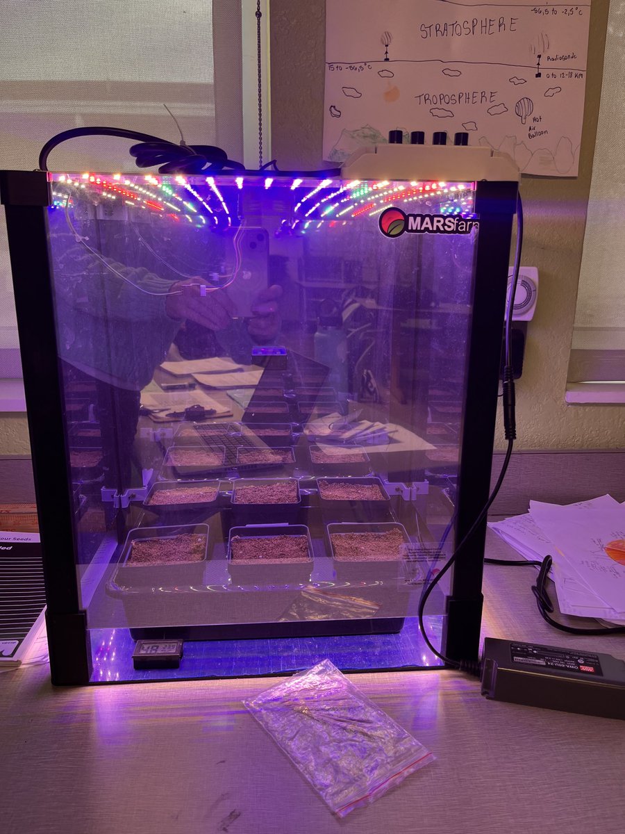 Shanna Lillis (@shannalillis) on Twitter photo On Tuesday we started our 2nd trial experiment for <a href="/GrowBeyondEarth/">Growing Beyond EarthⓇ</a>. Our team of space farmers is so excited to see their plants grow and determine if staggered companion plant can yield greater biomass of edible plant mass for astronauts. On Tuesday we started our 2nd trial experiment for <a href="/GrowBeyondEarth/">Growing Beyond EarthⓇ</a>. Our team of space farmers is so excited to see their plants grow and determine if staggered companion plant can yield greater biomass of edible plant mass for astronauts.