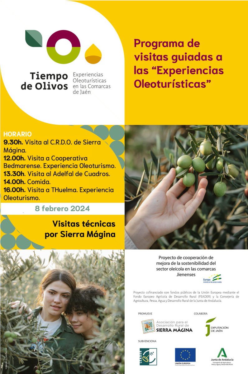 Hoy hemos recibido la visita de Tiempo de Olivos, el programa de Experiencias Oleoturísticas de las comarcas de Jaén, que han conocido nuestra sede y disfrutado de una cata de #aove