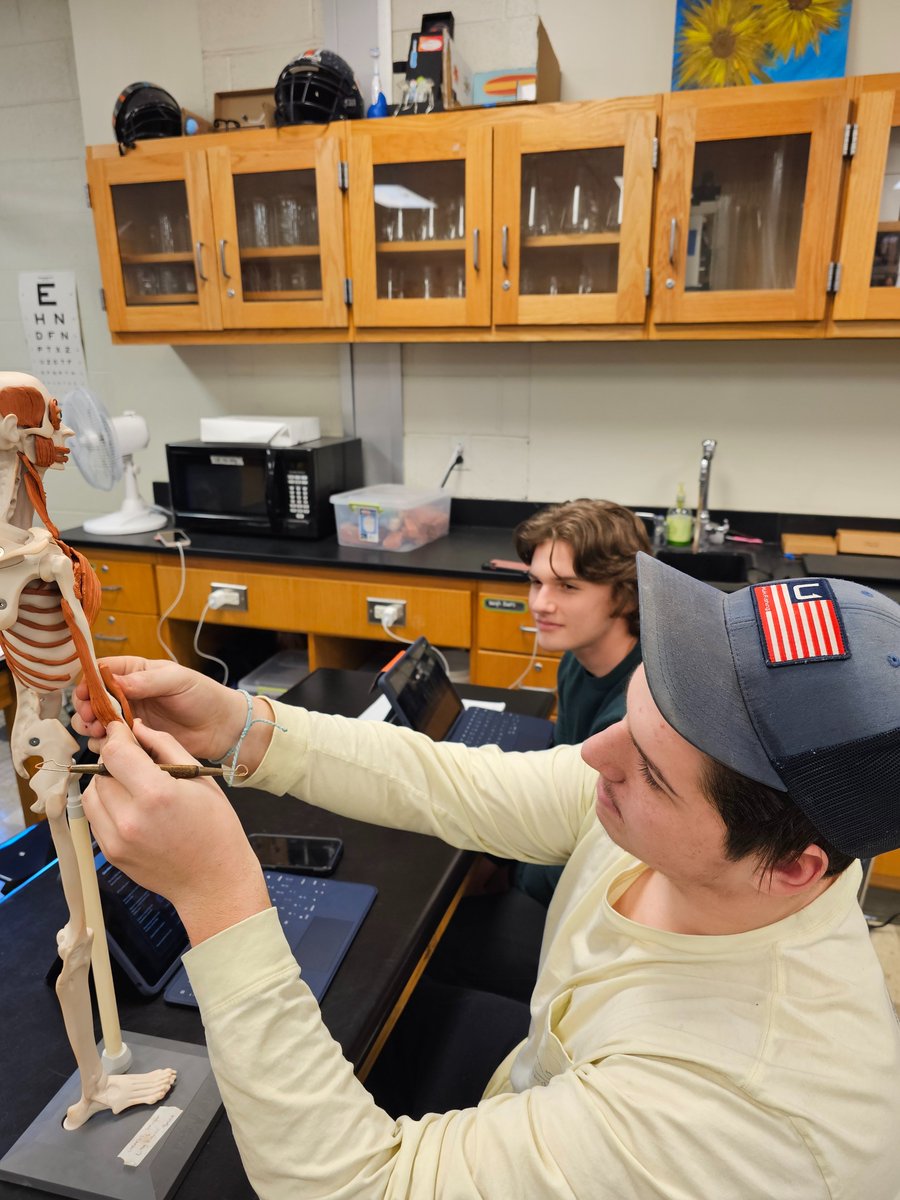 Blaire_Goodale's tweet photo. PLTW Human Body Systems students are "stretching" their understanding of the muscular system by attaching to muscles to mannequins 💪 @RSS_CTE @JCHSCougars https://t.co/Wm7pfW7uum