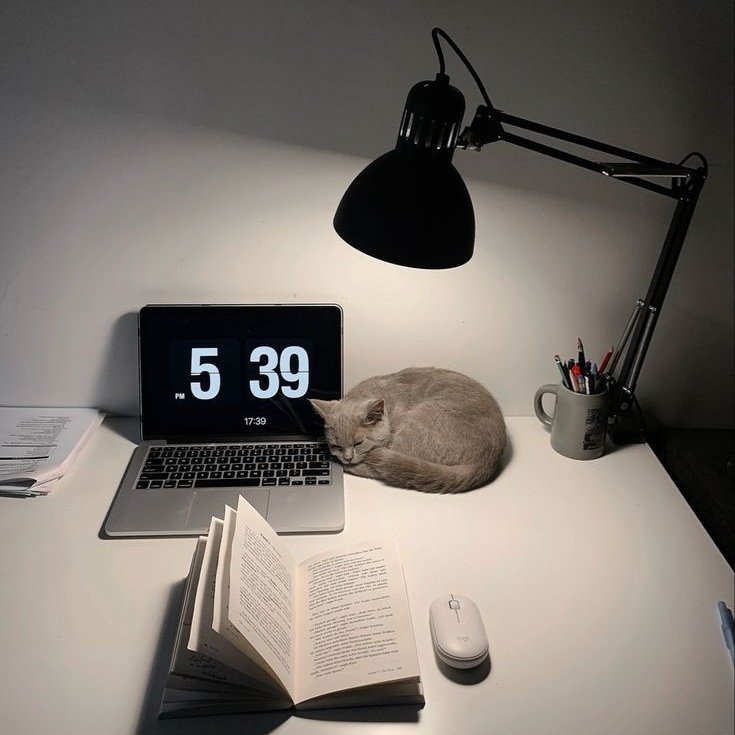 kittlovelyz's tweet photo. ⊹ㅤ𓂂 ׄׄ  #collegetwt &amp; #studytwtbr 

𝅭 giovanna, ela/dela, 01', morando na coreia
𝅭 ciência da computação (2/8)
𝅭 estudando para o enem e vestibulares (nos próximos anos)
𝅭 cursinho online
𝅭 estudando coreano, ui/ux e web dev
𝅭 pt-br | eng | kr

♡ moots https://t.co/2pM7xNx7ef