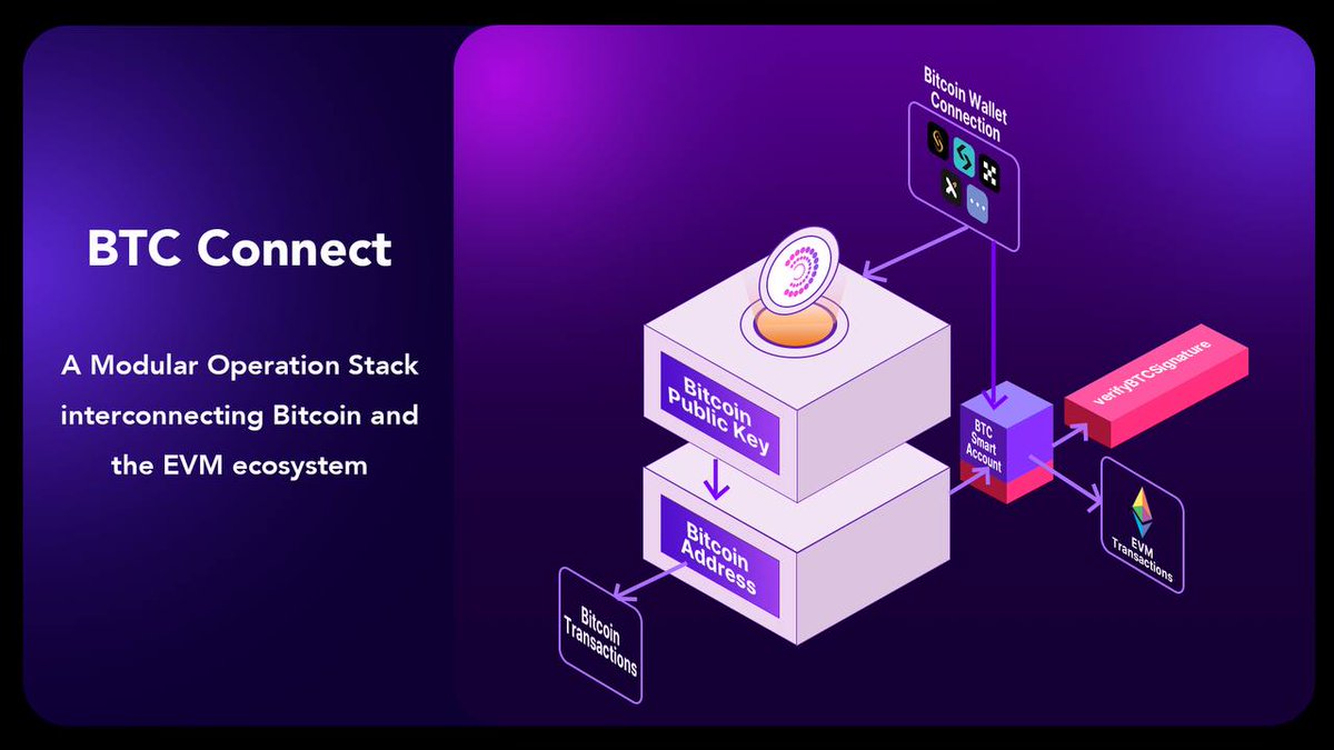 Particle Network tweet media