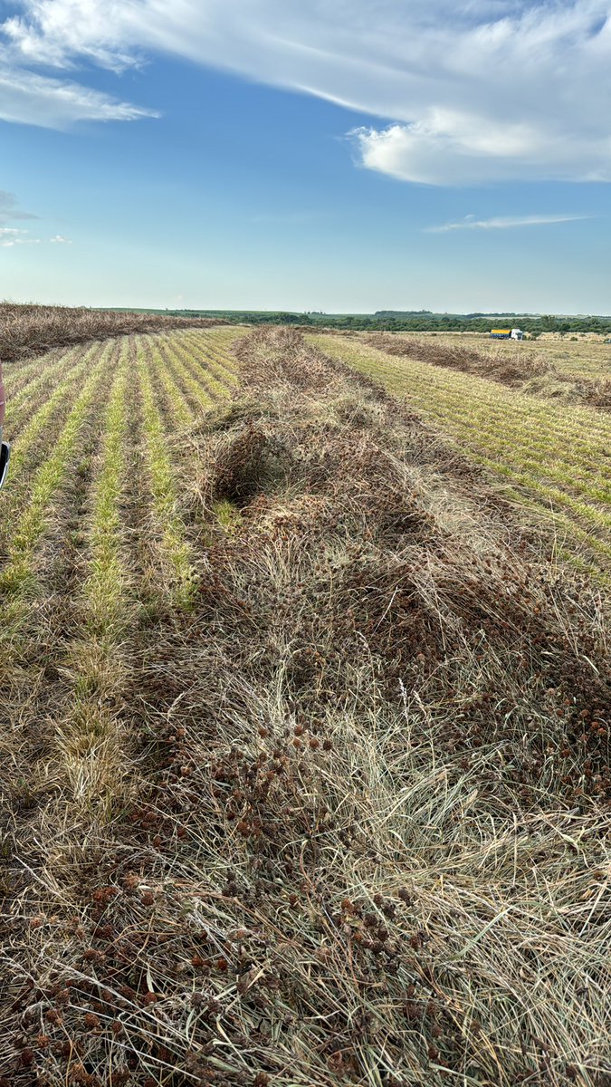 AM agro (@amagrouy) on Twitter photo 