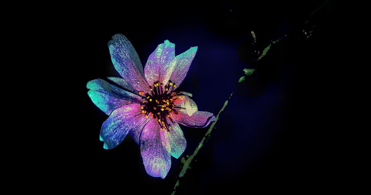 ❥ 𝙄𝙨𝙖 (@___june______) on Twitter photo 