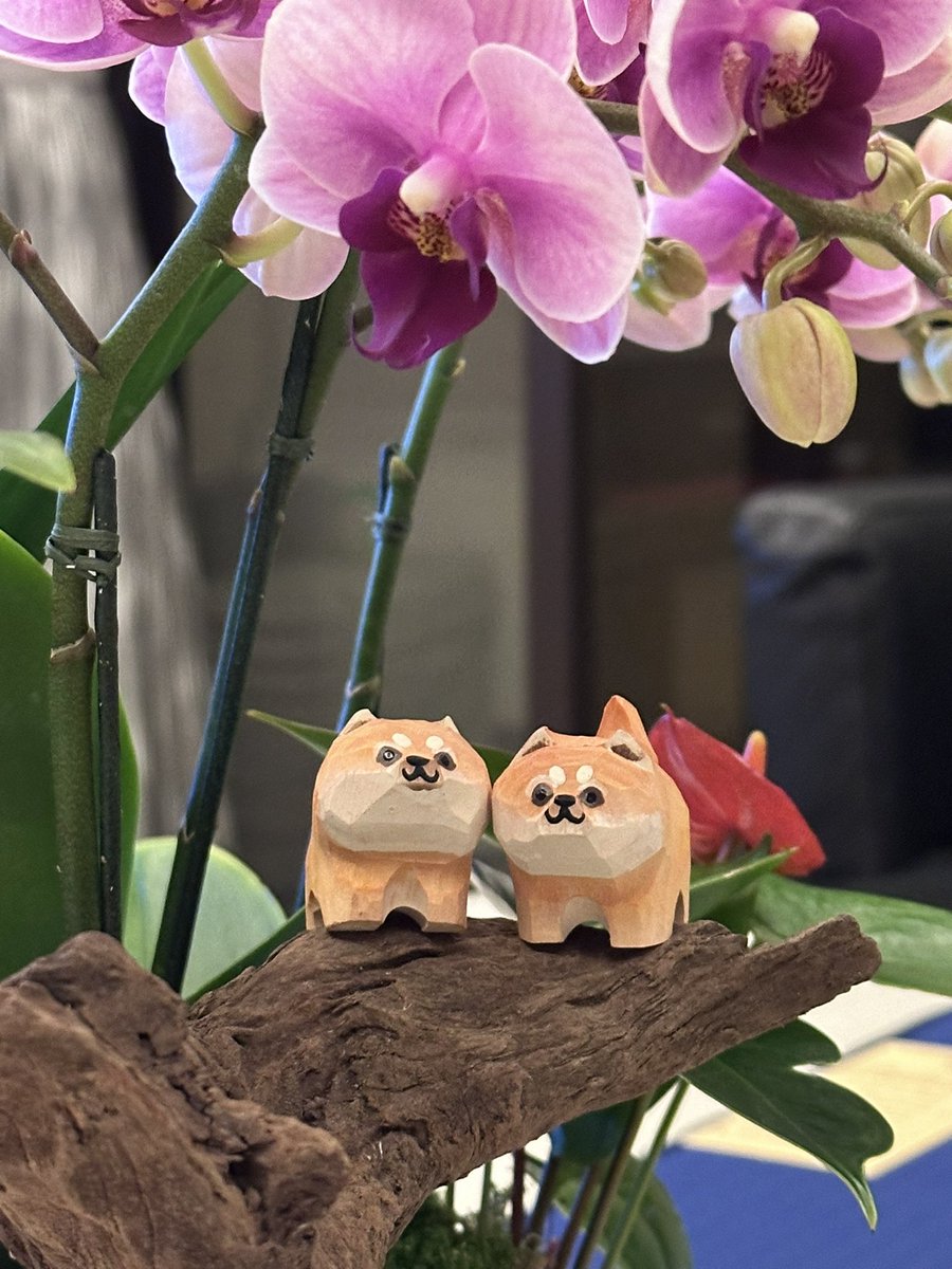 Could be us