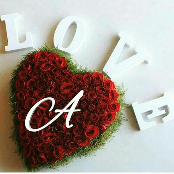 alaa amy tweet media