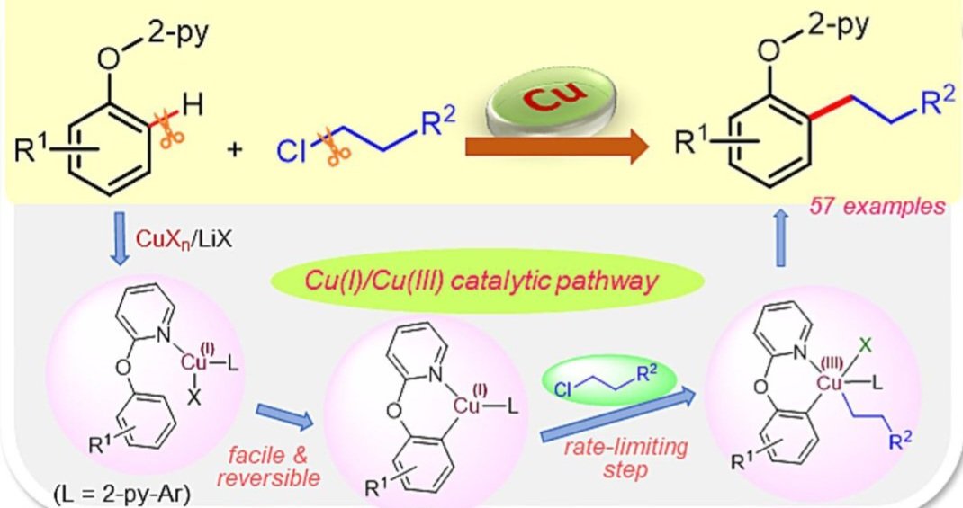 Happy to share our recent article on "Cu-catalyzed C-H alkylation of phenol derivatives using unactivated alkyl chlorides" published in Journal of Catalysis...Congratulations Suryadev... <a href="/AcSIR_India/">AcSIR</a>, <a href="/csir_ncl/">CSIR-National Chemical Laboratory</a>.
doi.org/10.1016/j.jcat…