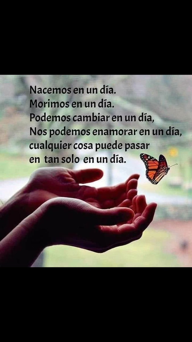 LydiaCruz7372's tweet image. 