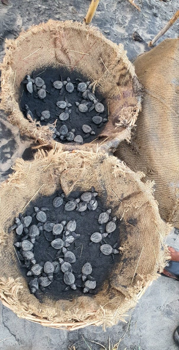 Andhra Pradesh Environment & Forest Department tweet media