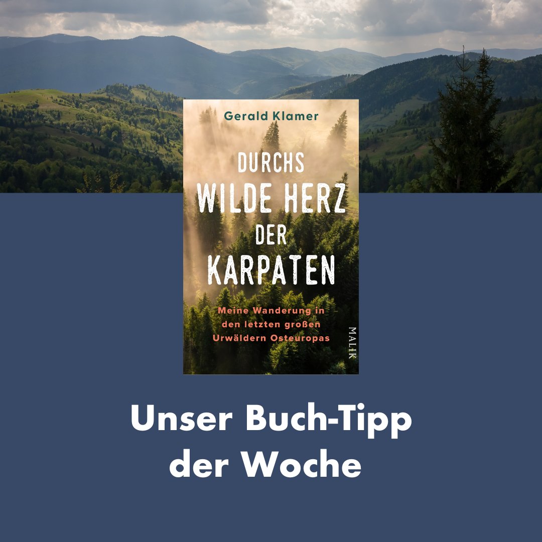 Förster Gerald Klamer bewandert auf einer abenteuerlichen Route die letzten großen Buchenurwälder Osteuropas und erklärt, warum sie so wichtig für die Artenvielfalt und Biodiversität sind. #Buchtipp