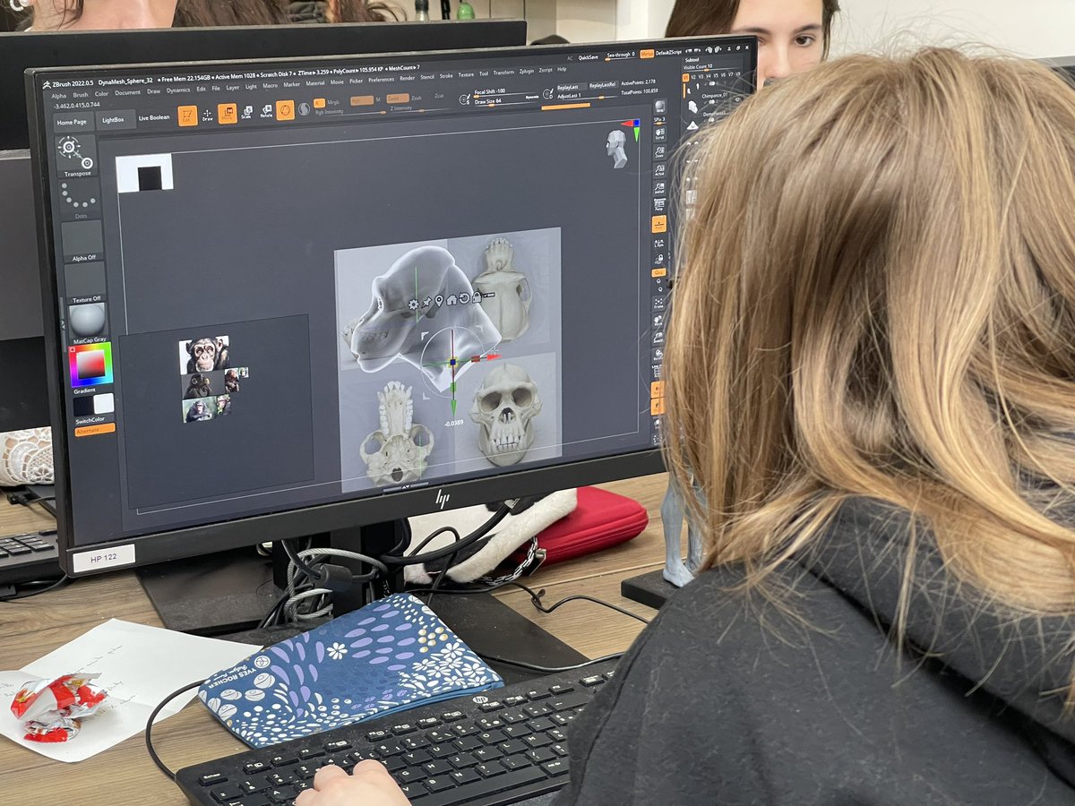 vfx_workshop's tweet photo. Beaucoup de progrès en morphologie comparée chez nos étudiants en deuxième année ! #3dsculpt #zbrush #zbrushsculpt #vfxworkshop #ecole3d #ecolevfx #3dschool #3dstudent #cgischool #vfxschool #vfxstudent #welovevfx #welovecgi https://t.co/7usJ3nDOEJ