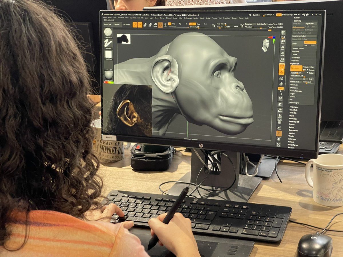 vfx_workshop's tweet photo. Beaucoup de progrès en morphologie comparée chez nos étudiants en deuxième année ! #3dsculpt #zbrush #zbrushsculpt #vfxworkshop #ecole3d #ecolevfx #3dschool #3dstudent #cgischool #vfxschool #vfxstudent #welovevfx #welovecgi https://t.co/7usJ3nDOEJ