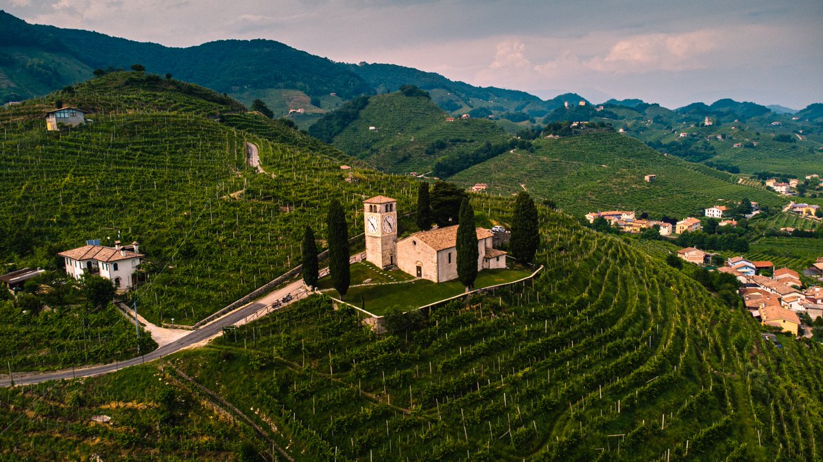 🥂 #Veneto boasts the oldest evidence of the presence of vines in Italy, it is the largest Italian wine-producing region by volume and it is the land of worldwide famous appellations such as #Prosecco, #Valpolicella and #Soave. #wineinfo #winegeek #VIA #italianwines