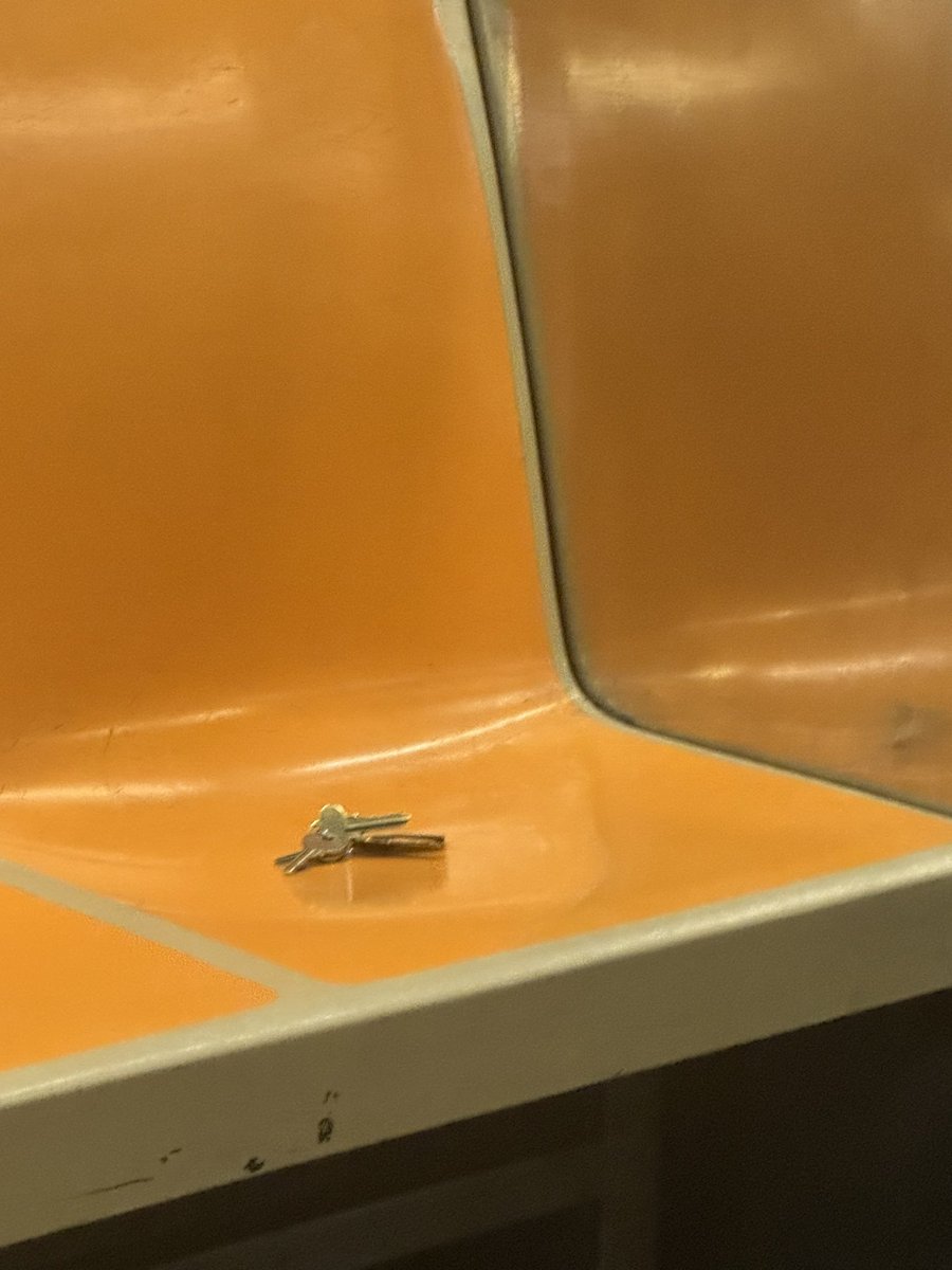 Sarah Mackey tweet media