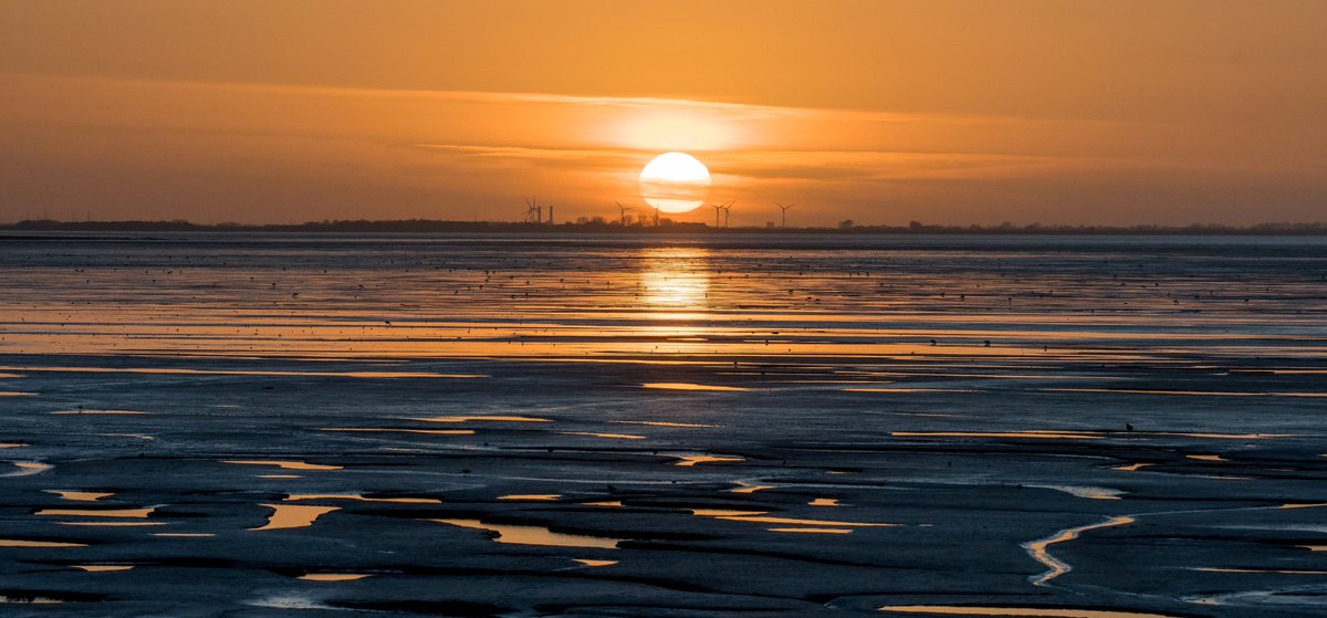 An image taken over a week ago of Sunset at #rspbsnettisham reminds me of just how special this place is.