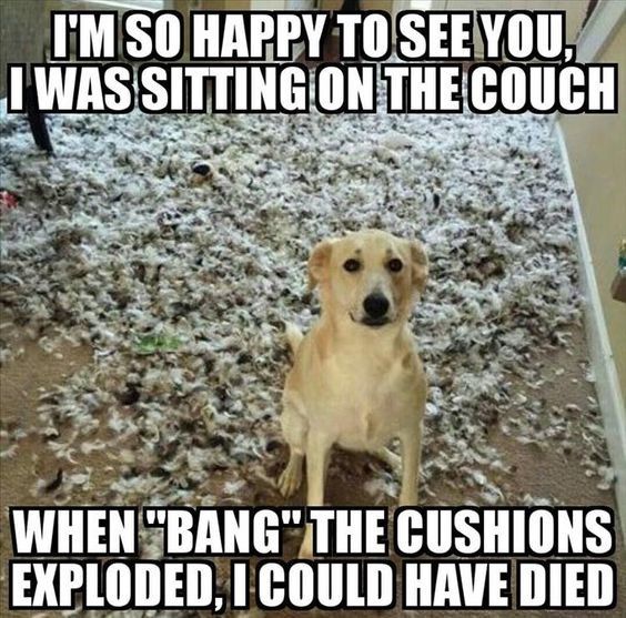FUCKIES_DEXYNTH's tweet photo. Yeahhhh.... rigghhhht.😒
#DEXYNTH #FUCKIES #Goodboy https://t.co/lAnyML0MSg