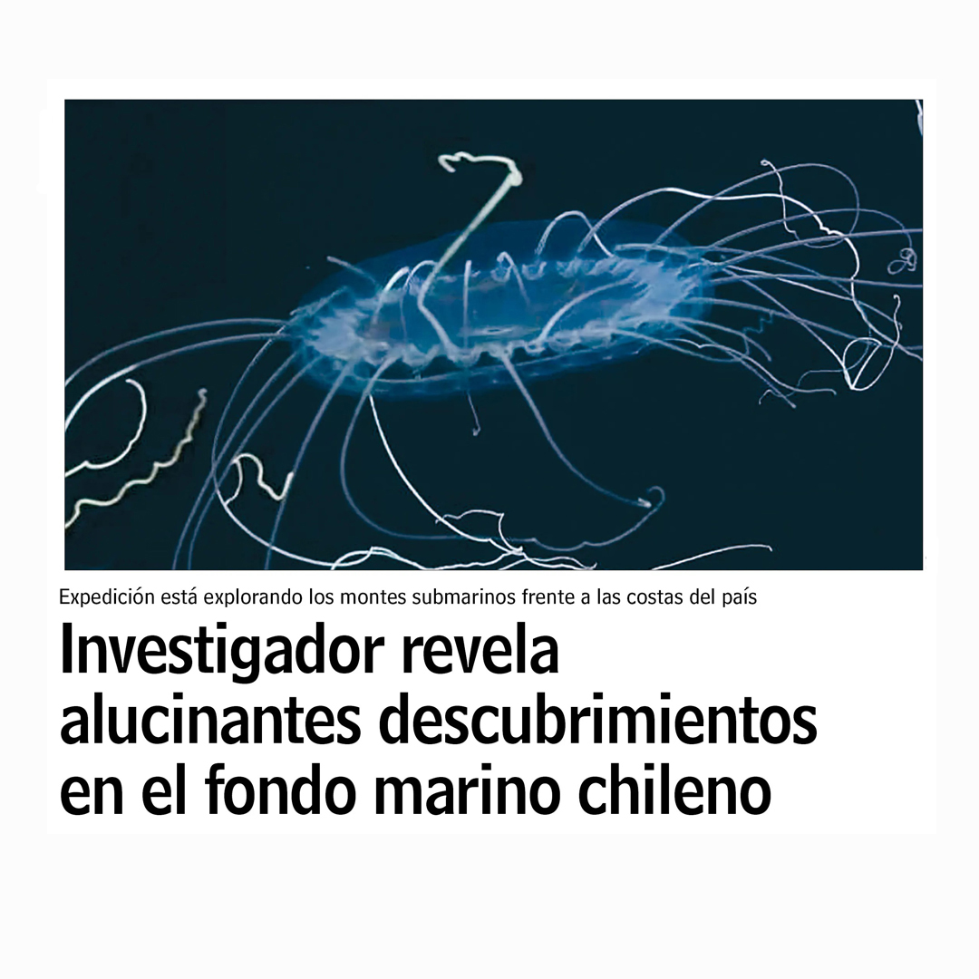 Hoy @lun dedica una página completa a los descubrimientos de la expedición científica en la que participa Jorge Pérez, del MNHN, y organizada por el @SchmidtOcean 🚢🌊

La nota acá 👉🏻 tinyurl.com/3mzvfbc6

#SEPacificSeaMounts #FalkorToo