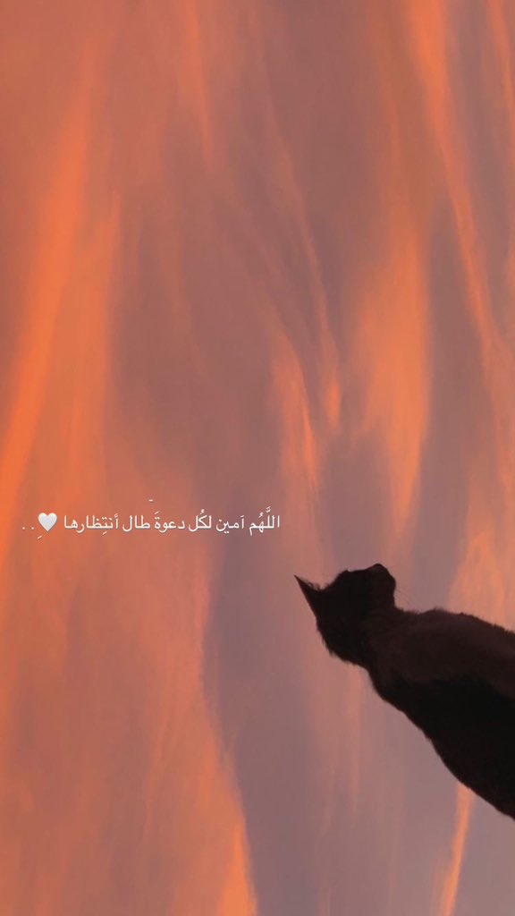_9j2000's tweet photo. -
اللَّهُم آمين لكُل دعوةَ طال أنتِظارها🤍ِ. . https://t.co/kXu5zIIKCV