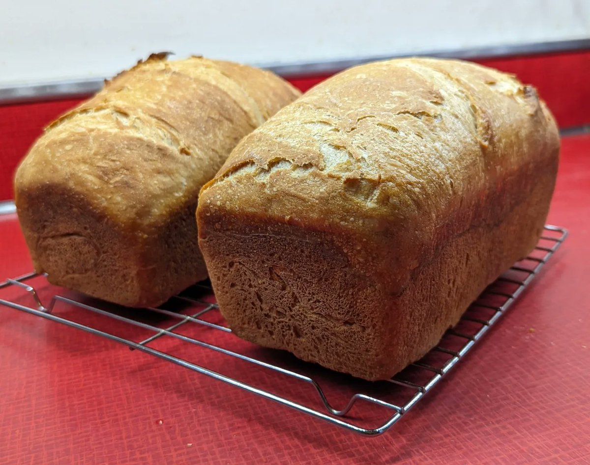 Malcolm_Newsome's tweet image. My contribution to World *Bread* Aloud Day yesterday. 😎 

#breadmaking #breadbaking #sourdough