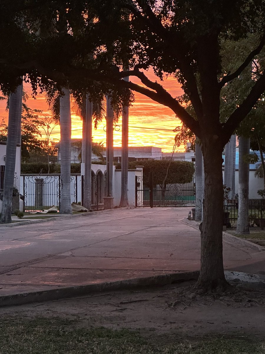 Arturo Duarte tweet media