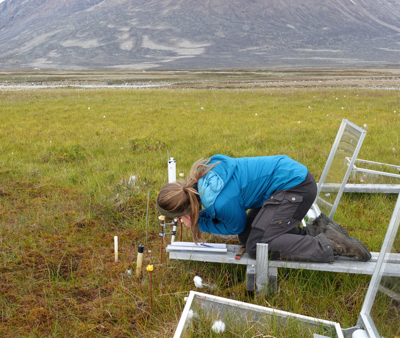 Zackenberg Research Station tweet media