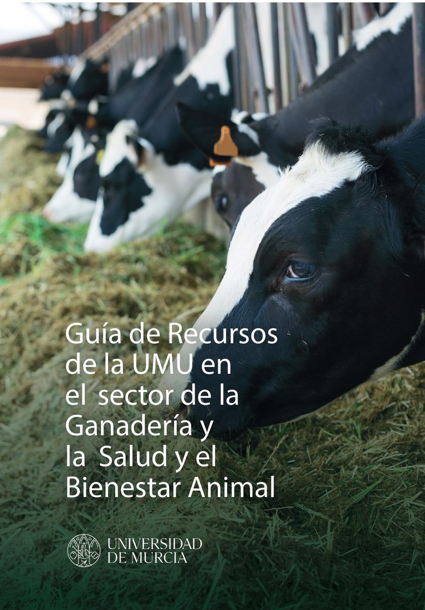 OTRI_UMU tweet media