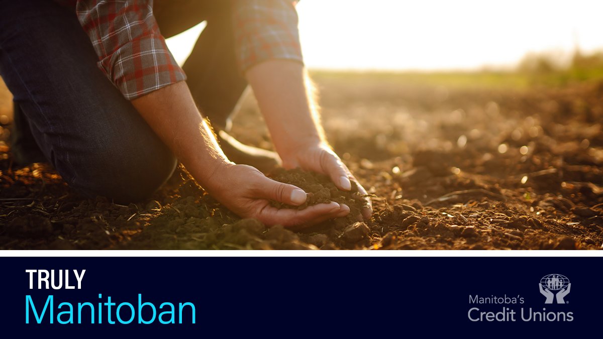 ManitobaCreditUnions tweet media