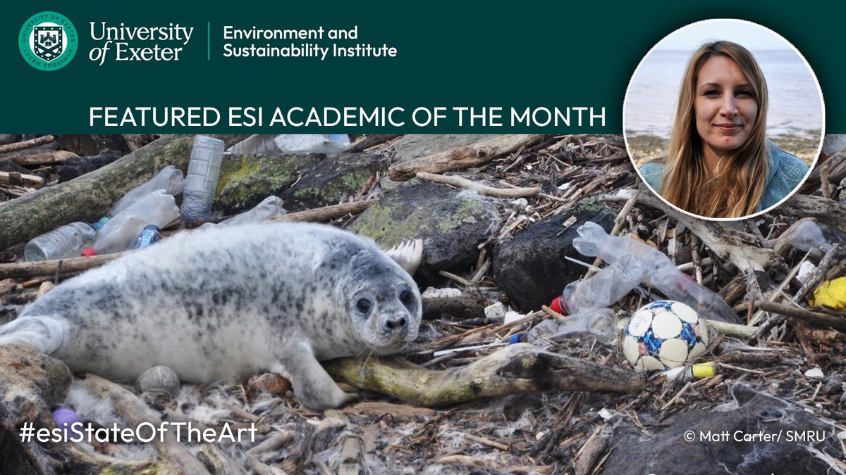 @SarahENelms will be giving her #esiStateOfTheArt talk “#Marine litter, microplastics and marine vertebrates” on 26 February! @UniofExeterESI 

📅 1- 2pm in the ESI Trevithick Room & online 

More details here: exeter.ac.uk/esi/people/fea…
