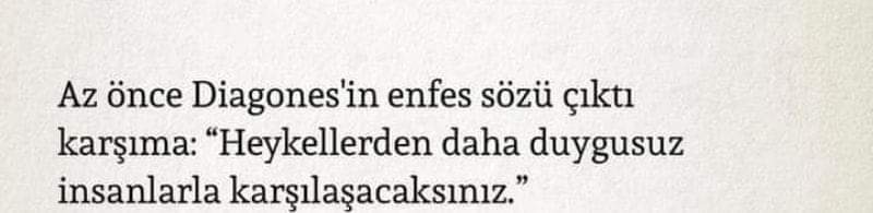 Pelin (@pelince2022) on Twitter photo 