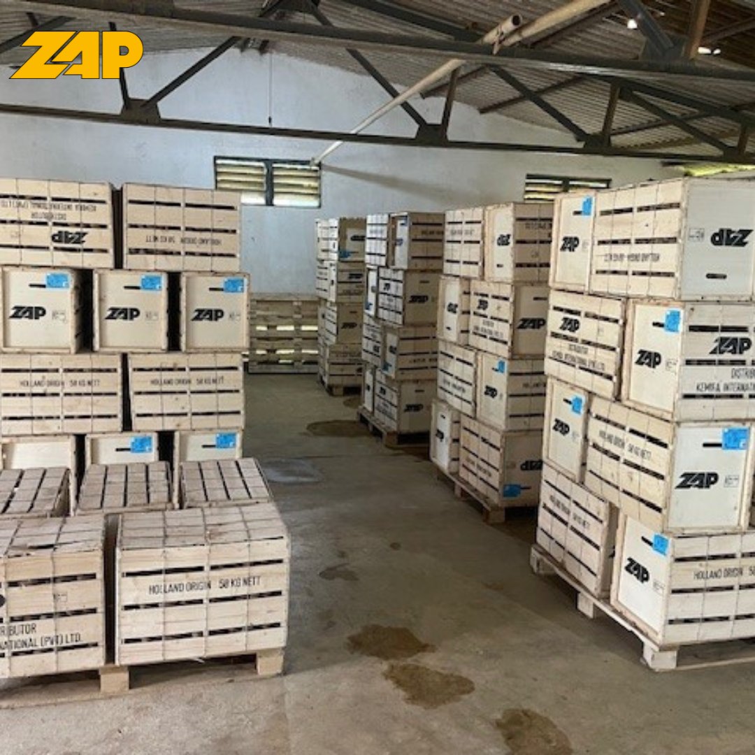 ZAPSemagri's tweet photo. Eind vorige maand hebben we telers en agenten bezocht in Zuid-Azië.
Naast dat we veel positieve informatie hebben ontvangen over ons aardappelras Dunastar hebben we ook veel informatie kunnen delen over de teelt van aardappelen in het algemeen.
#ZAP #Dunastar #seedpotatoes #Asia https://t.co/CrVgnnbZNd