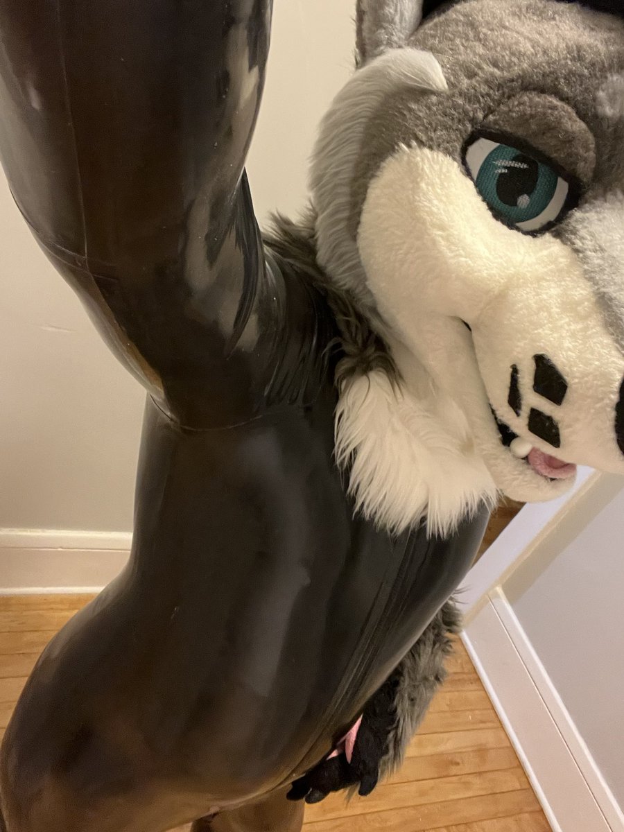 Oops puppy got a new outfit~ Just trying it on for the first time and couldn’t resist posting, looking for someone to take real pics with me~