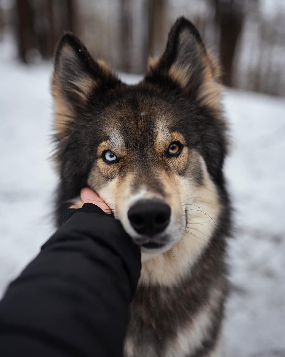absolutely adorable