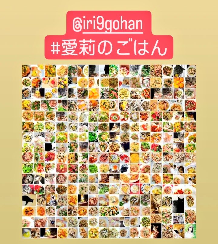 @み~にゃ 🐈愛莉のごはん tweet media