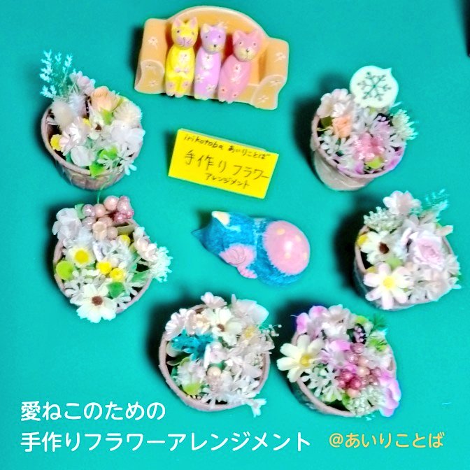 @み~にゃ 🐈愛莉のごはん tweet media