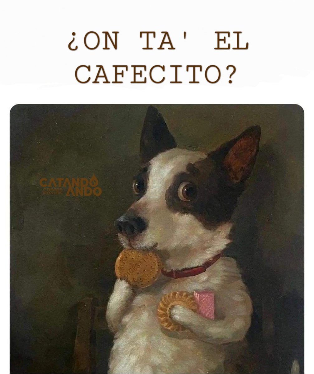 catandoando's tweet photo. 😄 https://t.co/Lcgg6rGxge