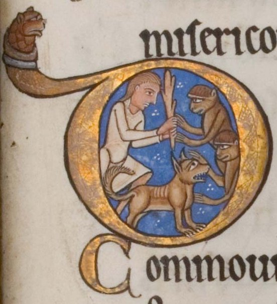 Medieval_Badger's tweet image. Dog looking slightly alarmed at being trusted to the care of a pair of monkeys in @UofGlasgow Hunter 229 f. 82r (Psalter, Northern England, ca. 1170) #medievalanimals